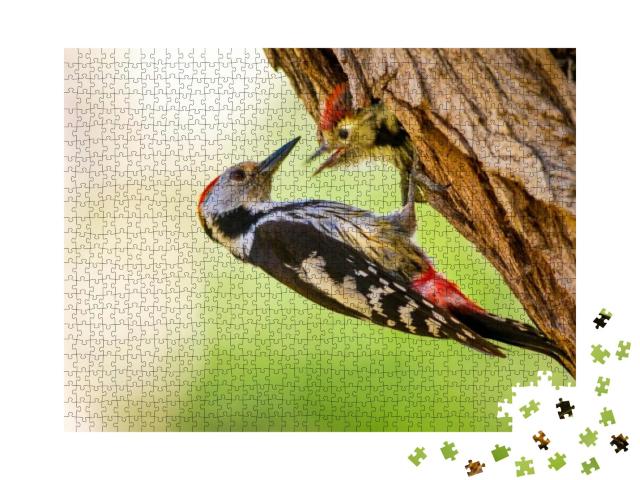Cute Woodpecker on Tree. Green Forest Background. Bird Mi... Jigsaw Puzzle with 1000 pieces