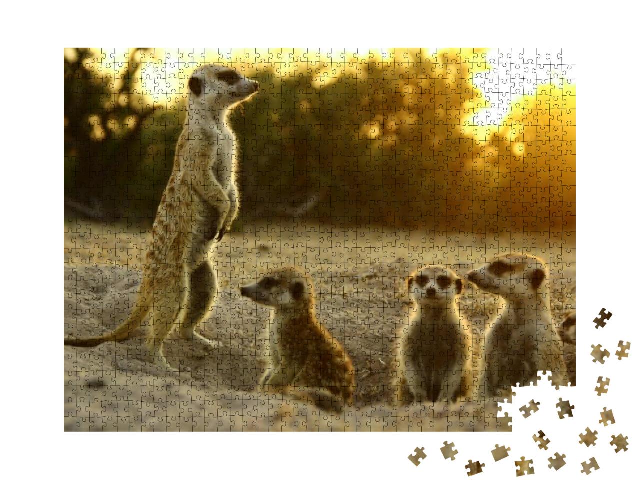 Meerkat the Most Funny Animal. Namibia Wild Life... Jigsaw Puzzle with 1000 pieces