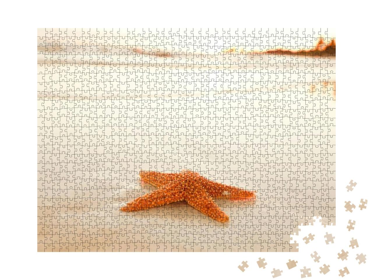Starfish Shell on Beach in Sunrise Light, Seascape, Live... Jigsaw Puzzle with 1000 pieces