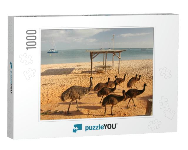 Emus on the Beach in Western Australia... Jigsaw Puzzle with 1000 pieces