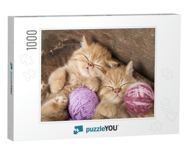Exotic Kittens Sleeping with a Ball of Wool... Jigsaw Puzzle with 1000 pieces