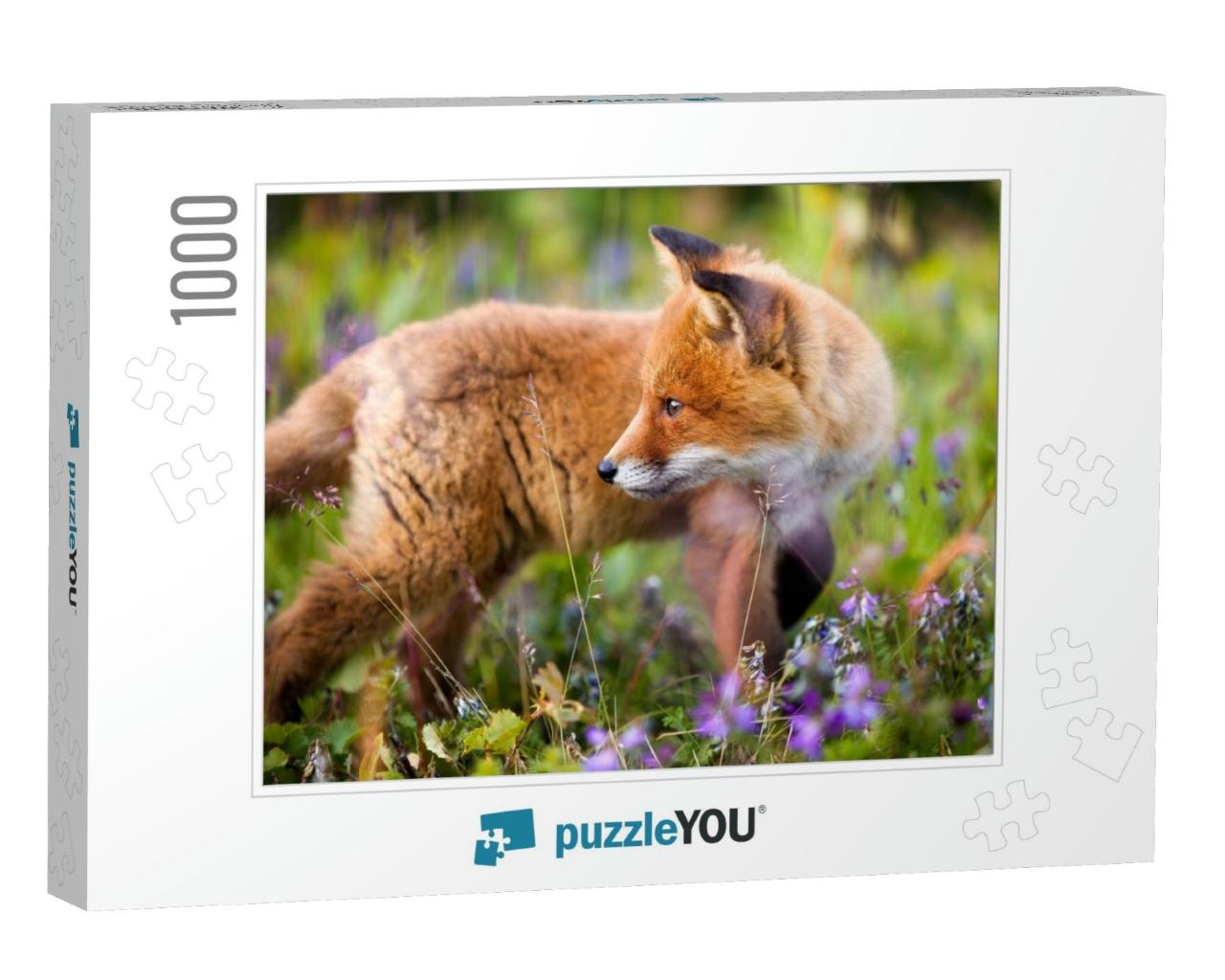Portrait of a Beautiful & Curious Red Fox Cub Encountered... Jigsaw Puzzle with 1000 pieces