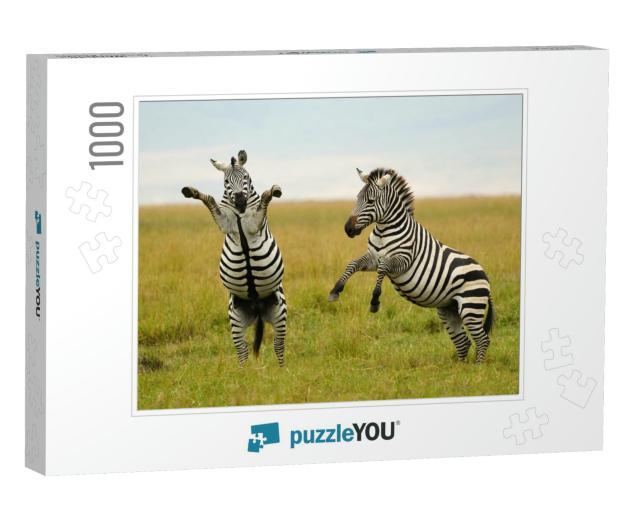 Burchells or Plains Zebra in Tanzania... Jigsaw Puzzle with 1000 pieces