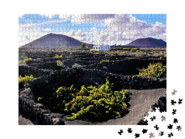 Vineyards in La Geria Lanzarote Canary Islands Spain... Jigsaw Puzzle with 1000 pieces