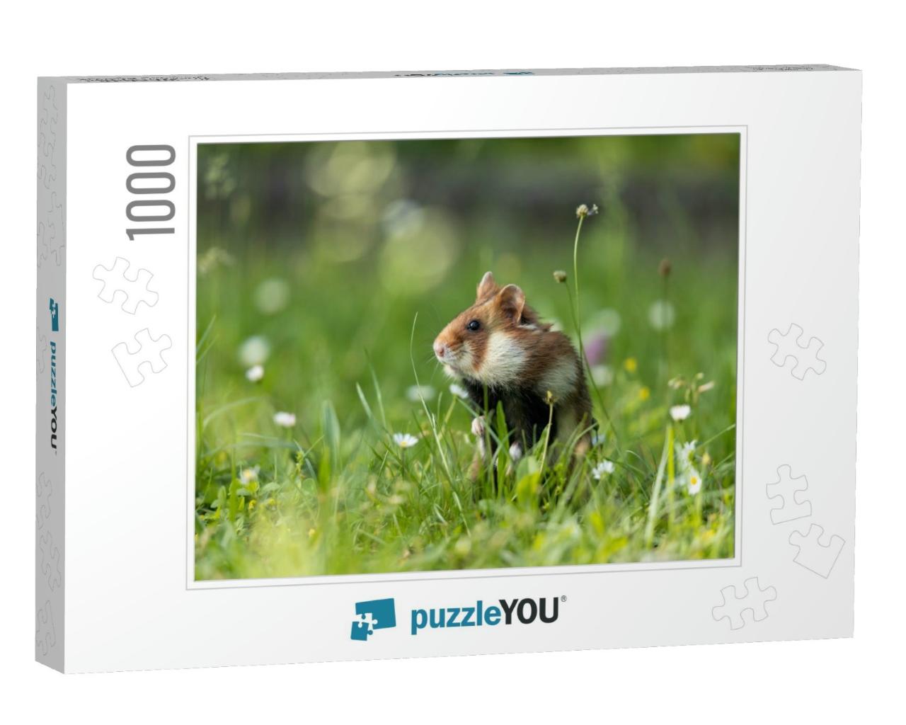 An Adult Field Hamster in a Green Meadow with Flowers... Jigsaw Puzzle with 1000 pieces