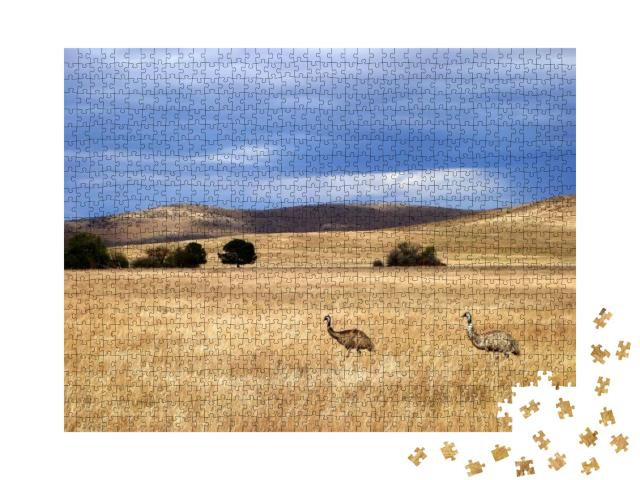 Wild Emus in South Australia... Jigsaw Puzzle with 1000 pieces