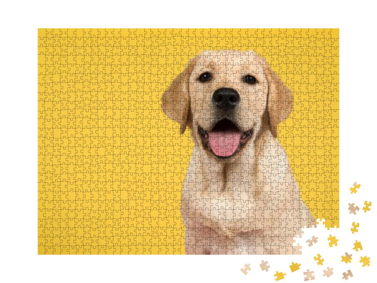 Portrait of a Blond Labrador Retriever Puppy on a Yellow... Jigsaw Puzzle with 1000 pieces