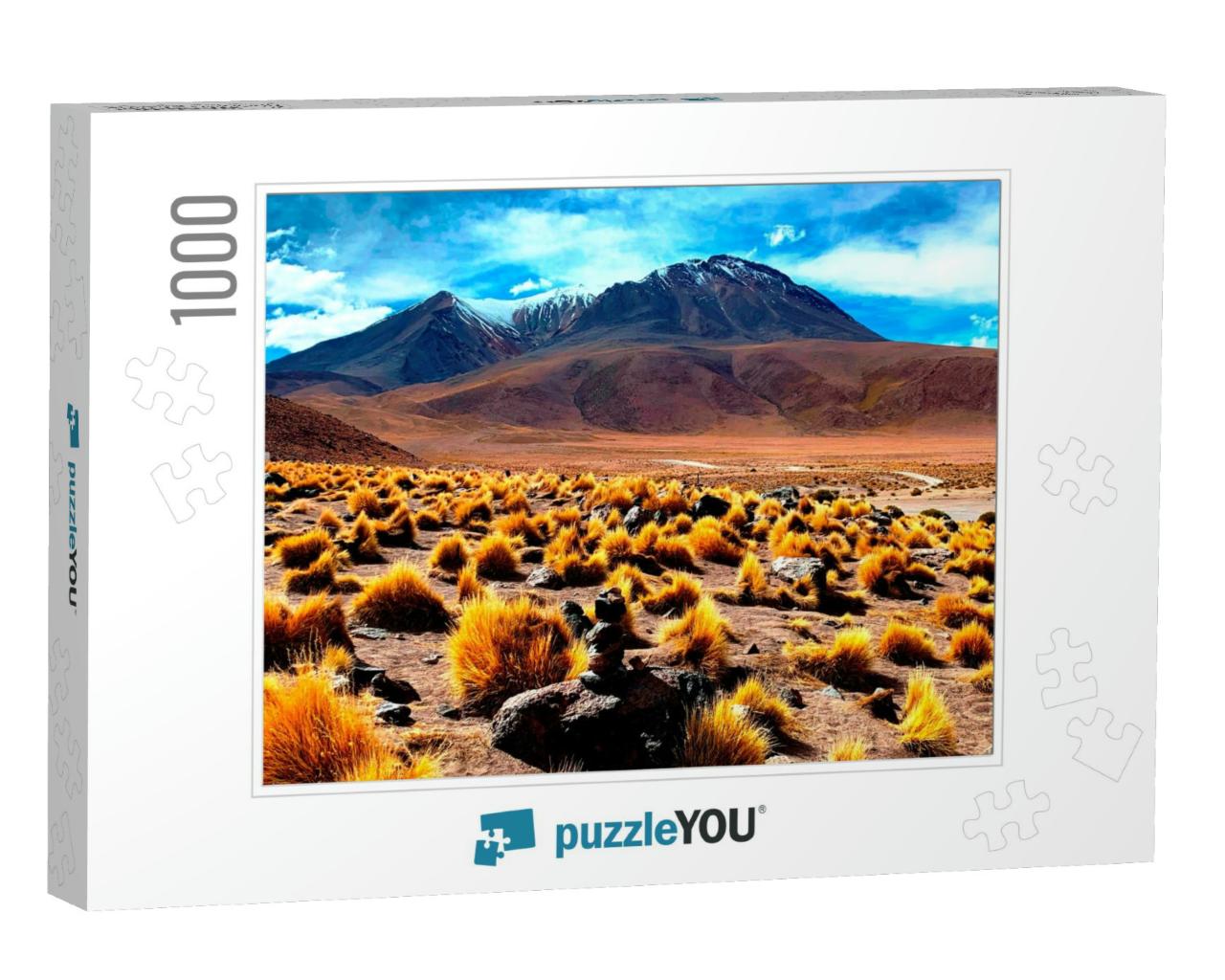 Scenic Wild Puna in Bolivia Highlands, Altiplano Plateau... Jigsaw Puzzle with 1000 pieces