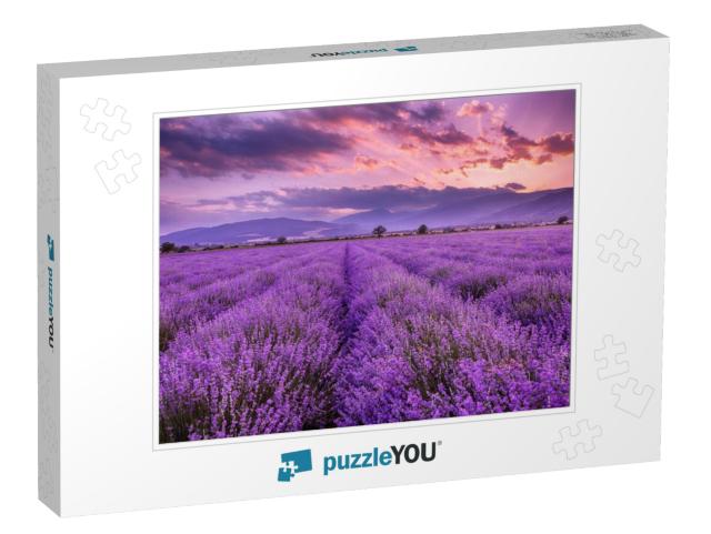 Lavender Field Sunset & Lines... Jigsaw Puzzle