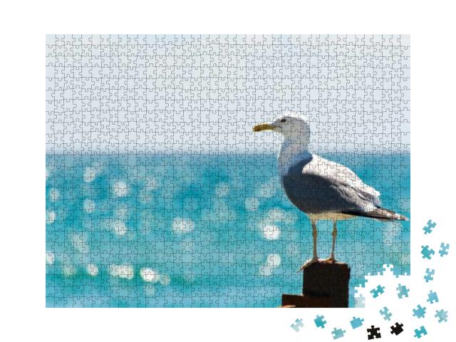 The Seagull Sits on a White Fence. Wings of a Bird... Jigsaw Puzzle with 1000 pieces
