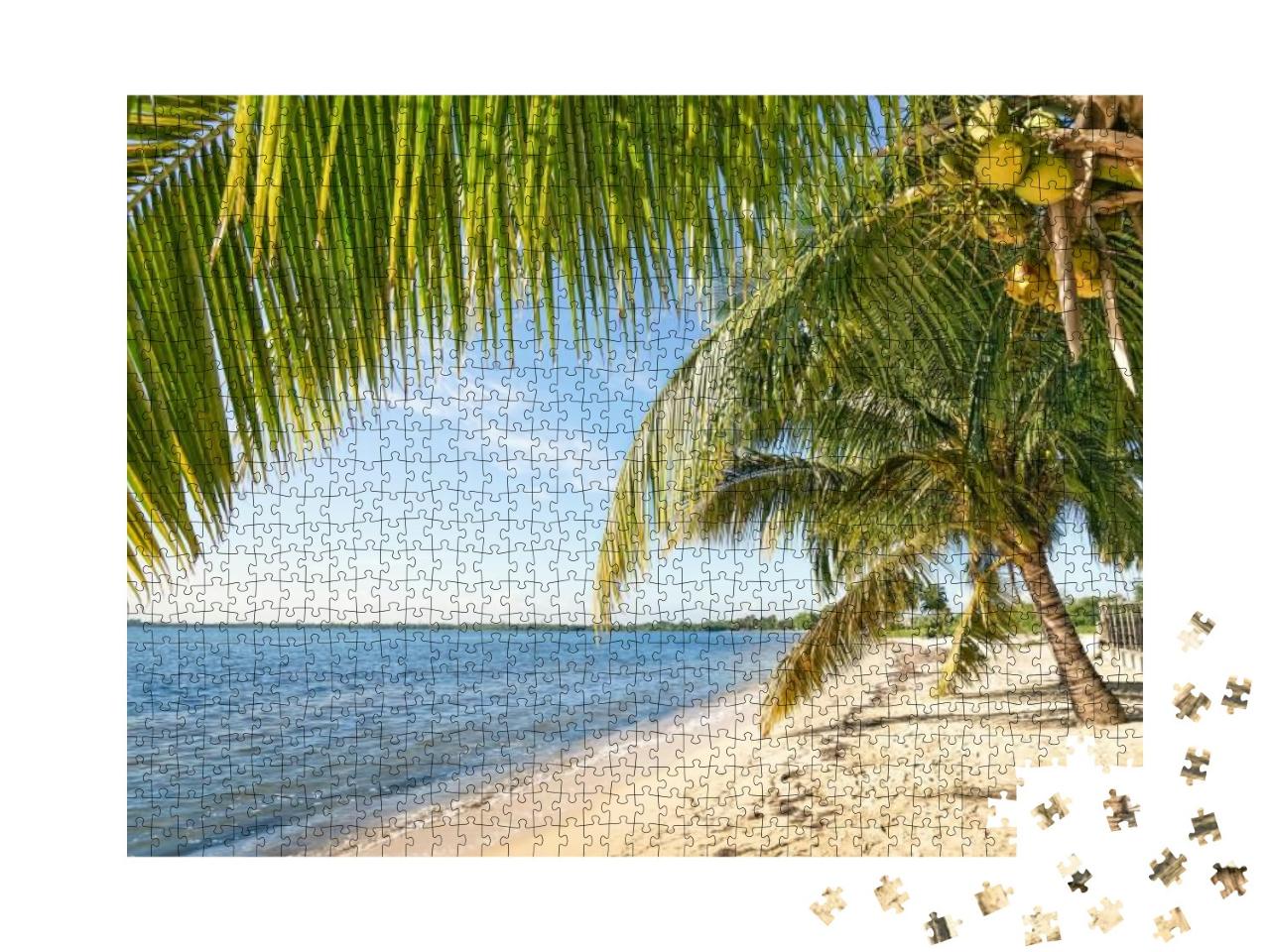 Beach Palm & Turquoise Sea At Playa Larga Near Bay of Pig... Jigsaw Puzzle with 1000 pieces