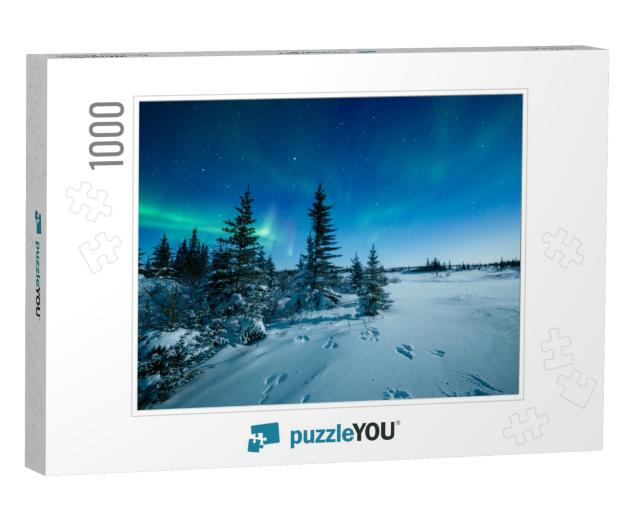 Snowshoe Hare Tracks & the Aurora Borealis... Jigsaw Puzzle with 1000 pieces