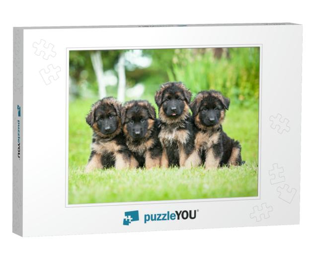 Group of Four Little German Shepherd Puppies... Jigsaw Puzzle