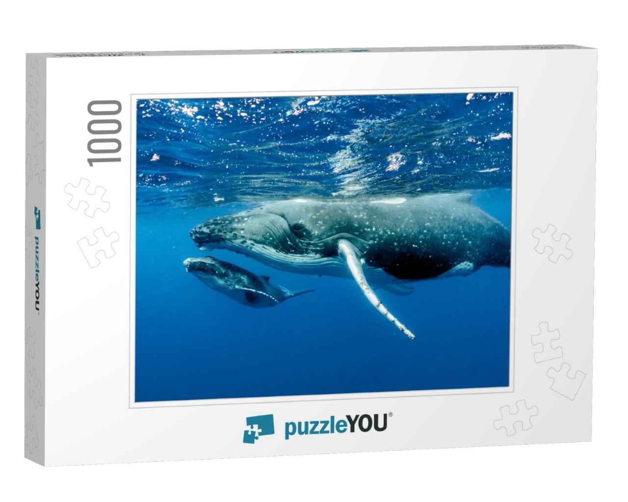 Humpback Whales Pacific Ocean... Jigsaw Puzzle with 1000 pieces