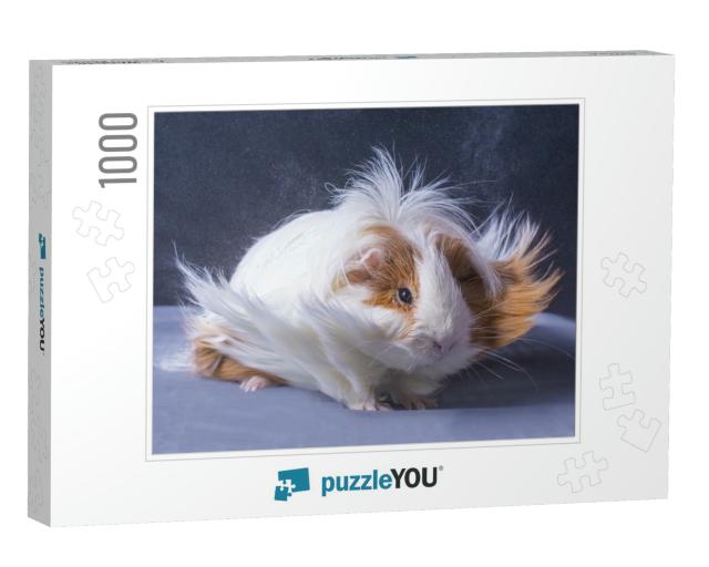 A Guinea Pigs Hair is Blowing in the Wind... Jigsaw Puzzle with 1000 pieces