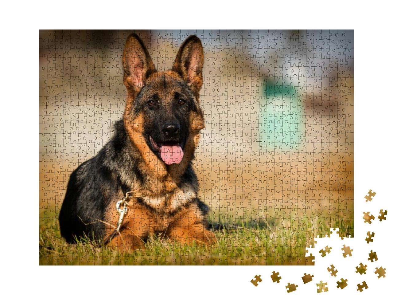 German Shepherd Puppy Age 5 Months in the Grass... Jigsaw Puzzle with 1000 pieces