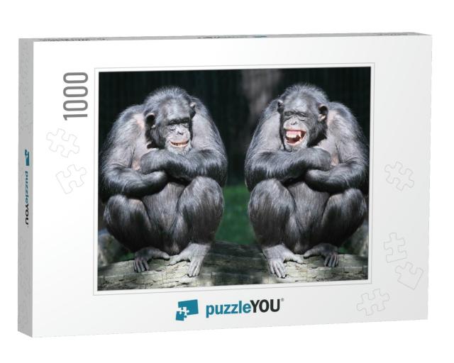 Two Chimpanzees Have a Fun... Jigsaw Puzzle with 1000 pieces