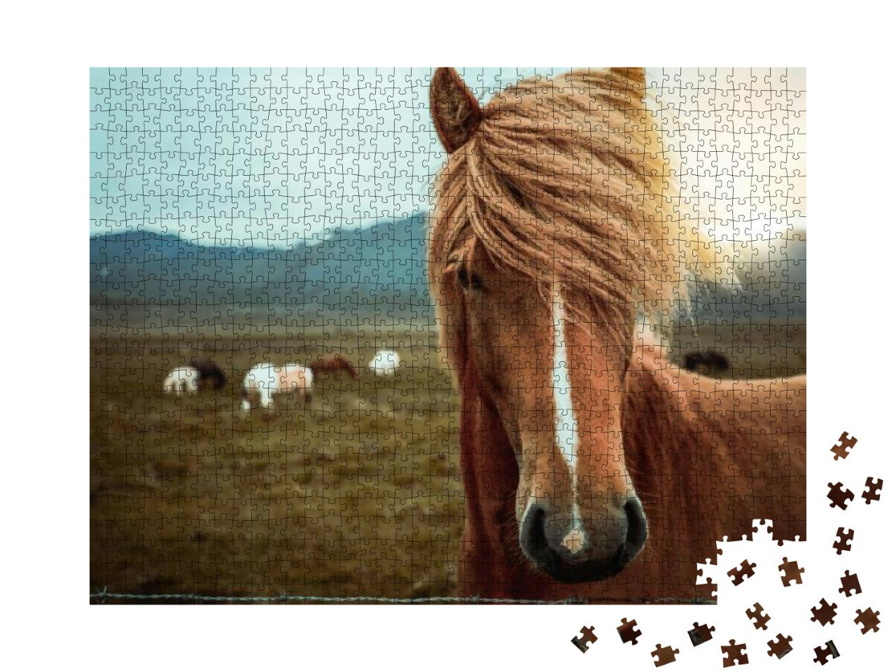Icelandic Horse in the Field of Scenic Nature Landscape o... Jigsaw Puzzle with 1000 pieces