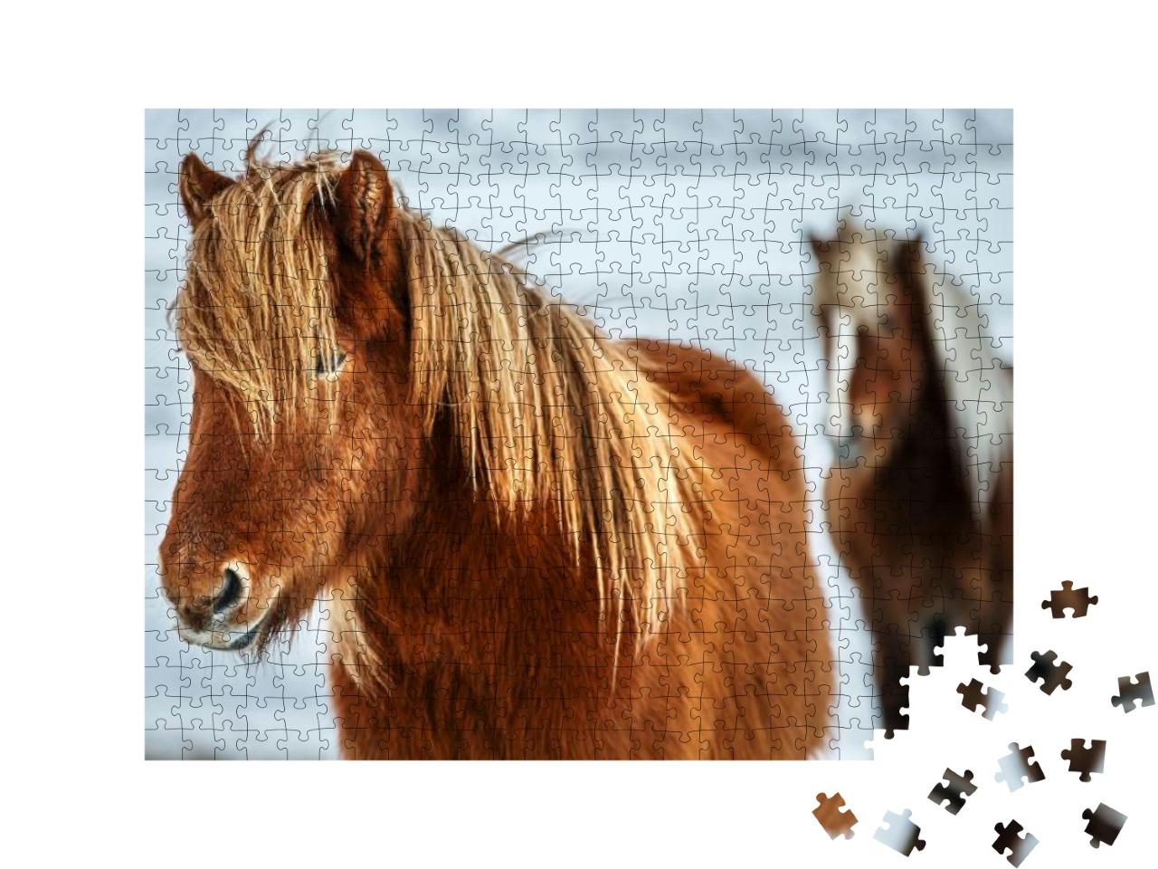 Portrait of a Beautiful Icelandic Horses, Pair of a Gorge... Jigsaw Puzzle with 500 pieces