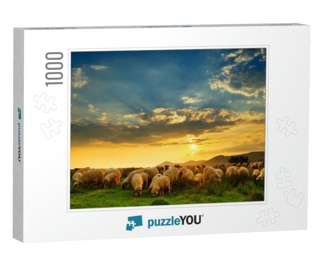 Flock of Sheep Grazing in a Hill At Sunset... Jigsaw Puzzle with 1000 pieces
