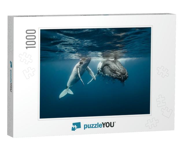 A Humpback Whale Mum & Calf Sitting Next to Each Other in... Jigsaw Puzzle with 1000 pieces