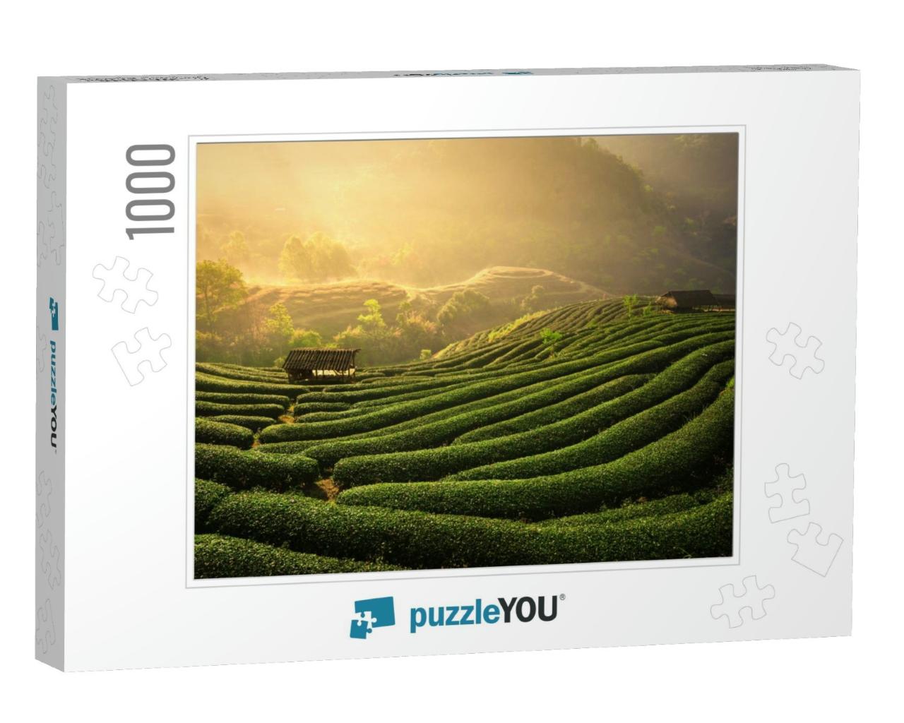 The Tea Plantations Background, Tea Plantations in Mornin... Jigsaw Puzzle with 1000 pieces