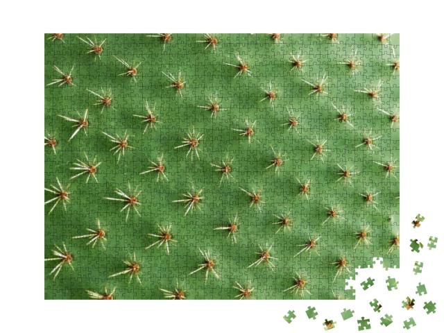 Closeup of Spines on Cactus, Background Cactus with Spine... Jigsaw Puzzle with 1000 pieces