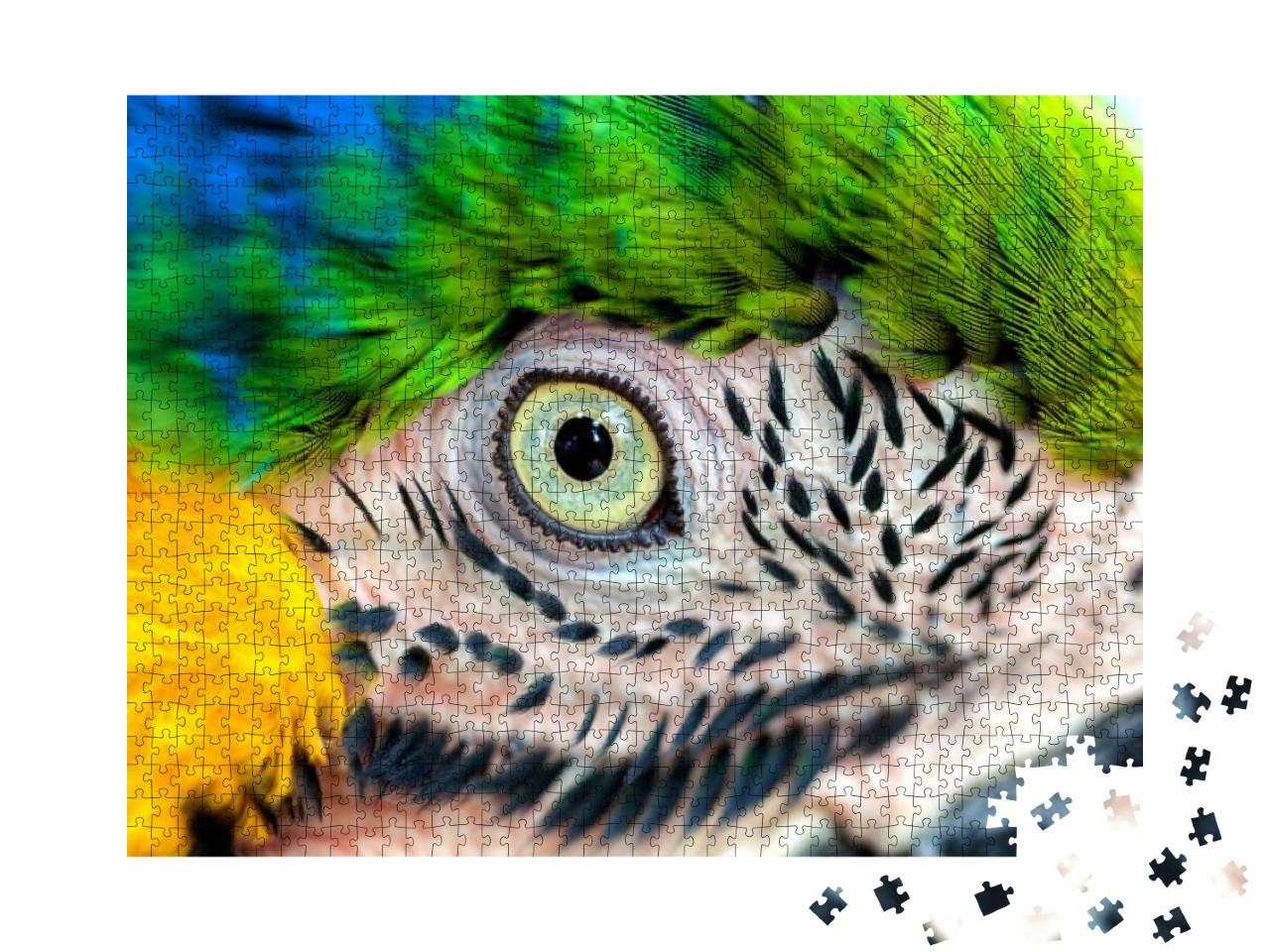 Amazing Colors in Nature. Beautiful Eye Wild Parrot Bird... Jigsaw Puzzle with 1000 pieces