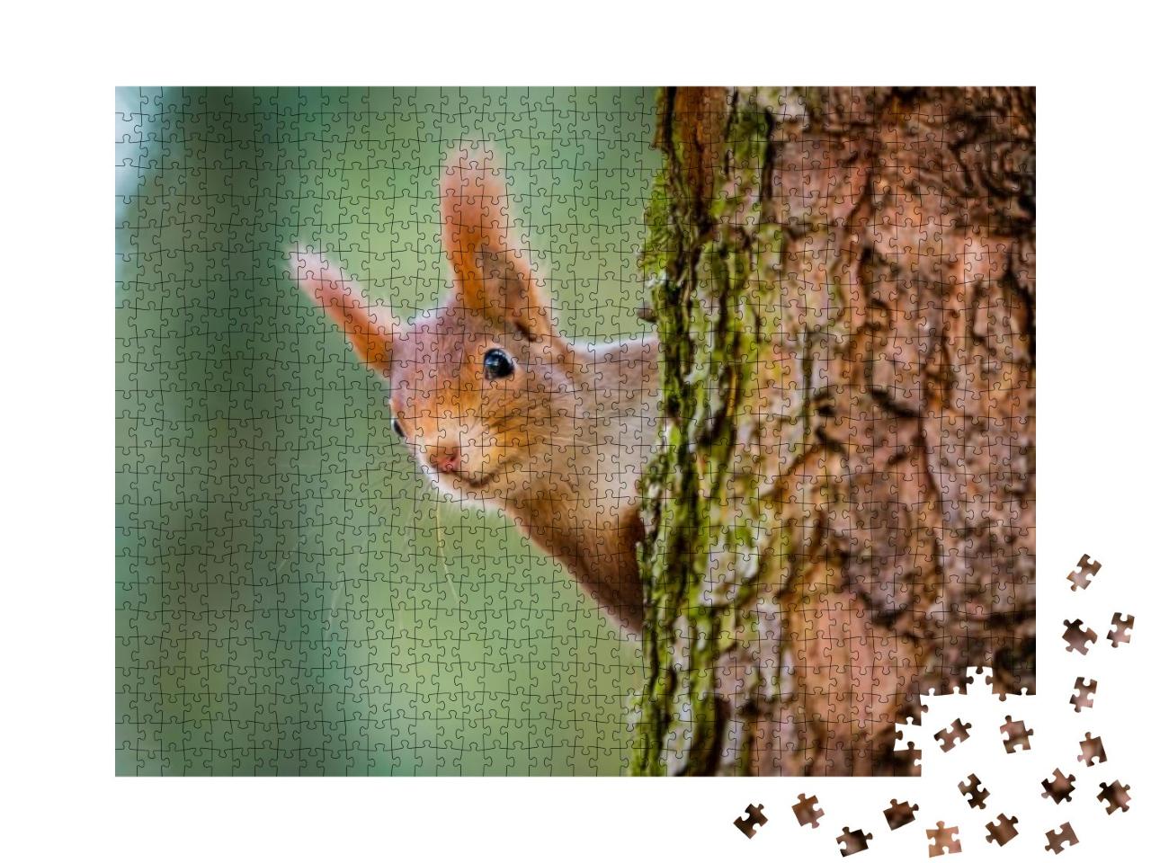 Curious Red Squirrel Peeking Behind the Tree Trunk... Jigsaw Puzzle with 1000 pieces