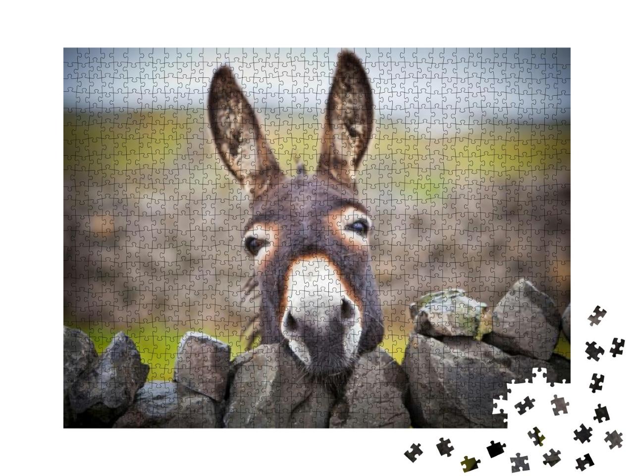A Nice Donkey Under the Rain. Aran Islands, Ireland... Jigsaw Puzzle with 1000 pieces