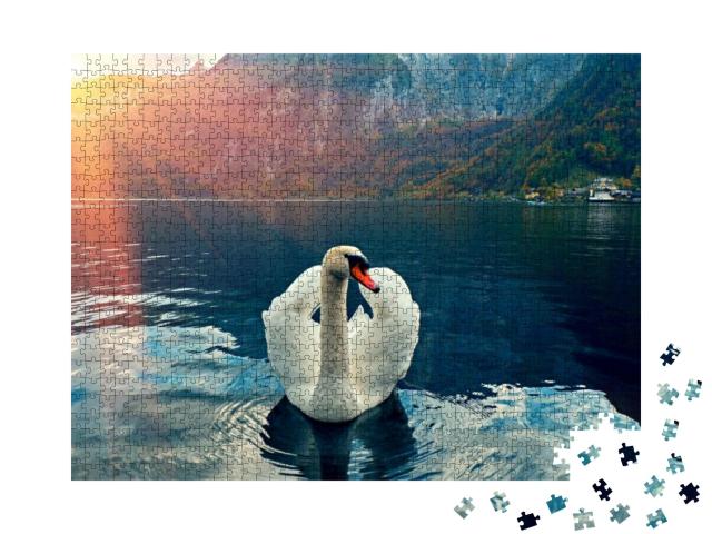 Swan Portrait. Mute Swan Cygnus Olor Gliding Lake Hallsta... Jigsaw Puzzle with 1000 pieces