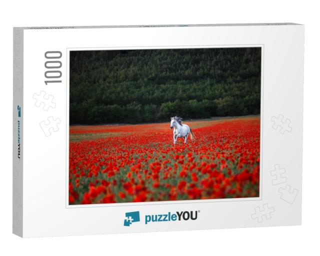 White Horse Galloping Across Red Poppy Field. Freedom Con... Jigsaw Puzzle with 1000 pieces