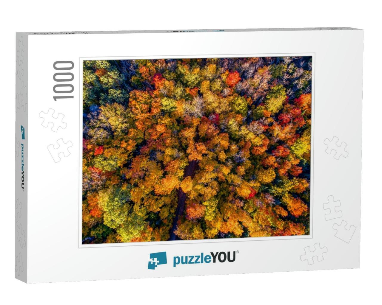 Autumn Forest Trees Foliage Top View... Jigsaw Puzzle with 1000 pieces