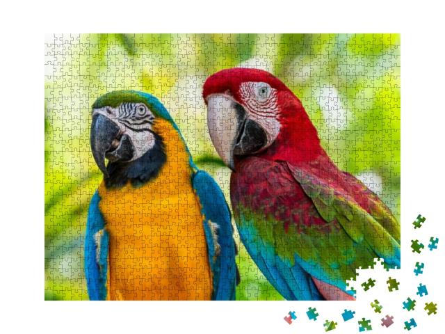 Blue & Gold Macaw or Ara Ararauna & Green Winged Macaw or... Jigsaw Puzzle with 1000 pieces