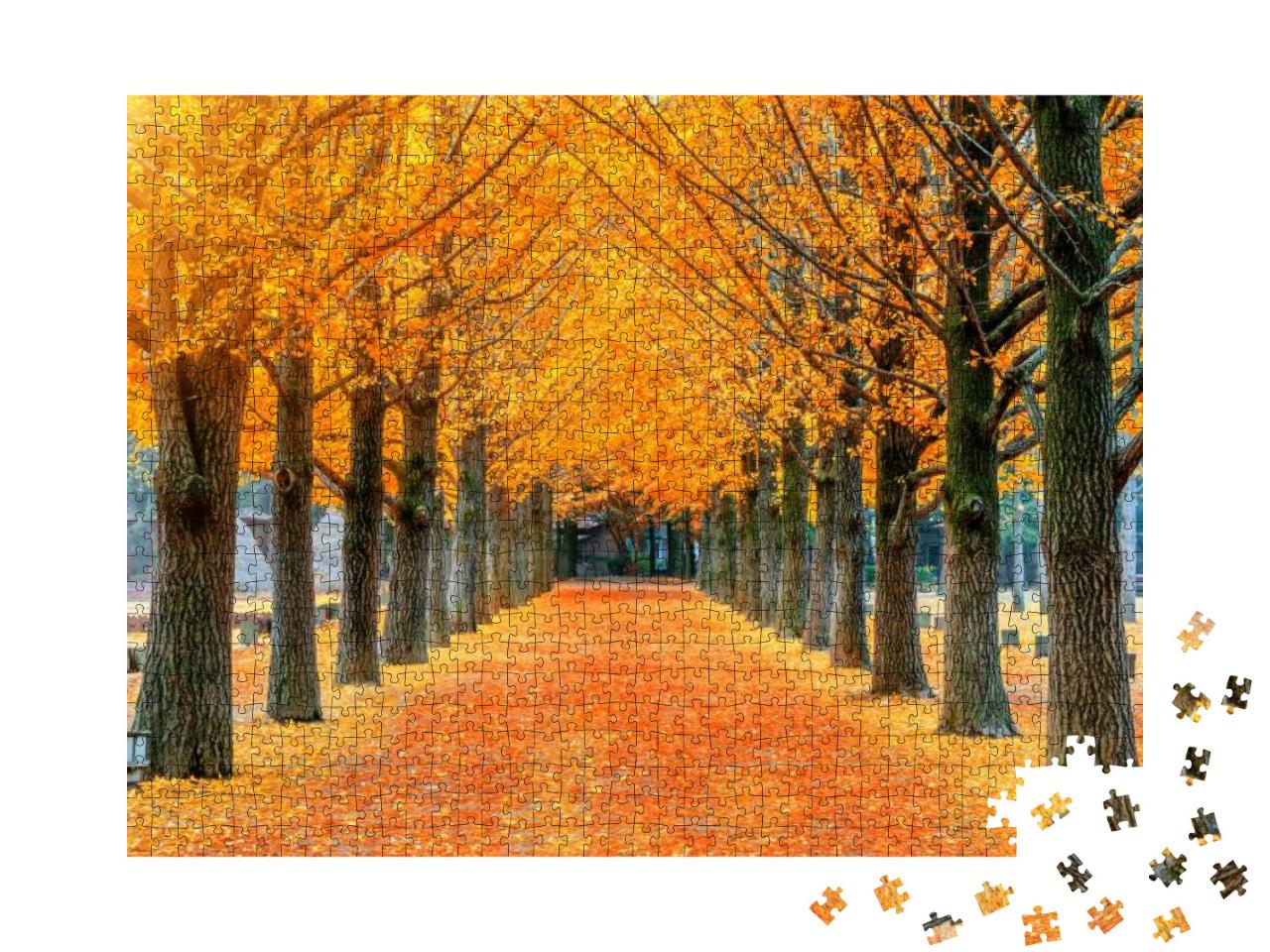Row of Yellow Ginkgo Tree in Nami Island, Korea... Jigsaw Puzzle with 1000 pieces
