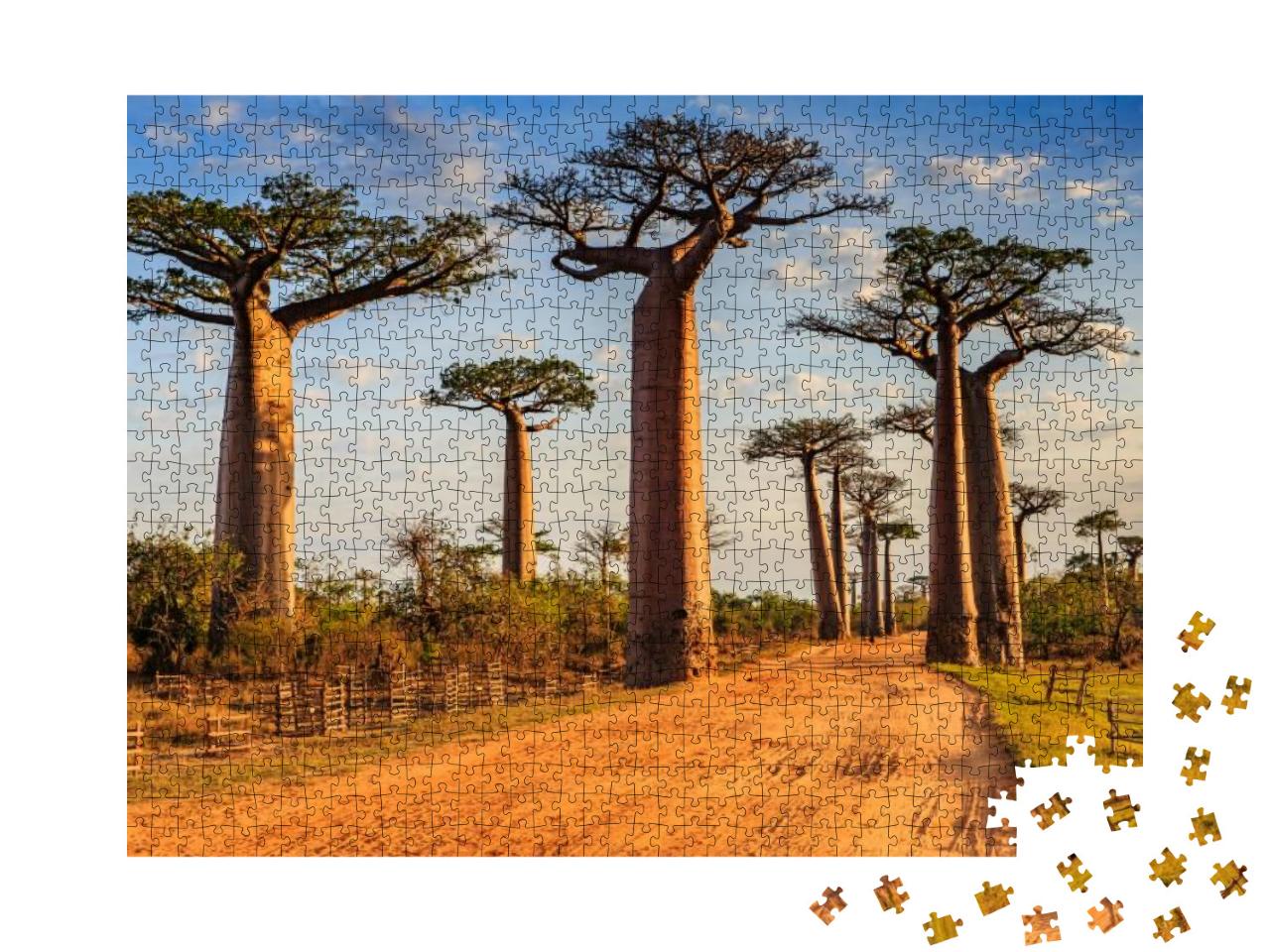 Beautiful Baobab Trees At Sunset At the Avenue of the Bao... Jigsaw Puzzle with 1000 pieces