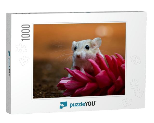 Cute Gerbil Mouse Closeup Face, Garbil Mouse on Red Flowe... Jigsaw Puzzle with 1000 pieces