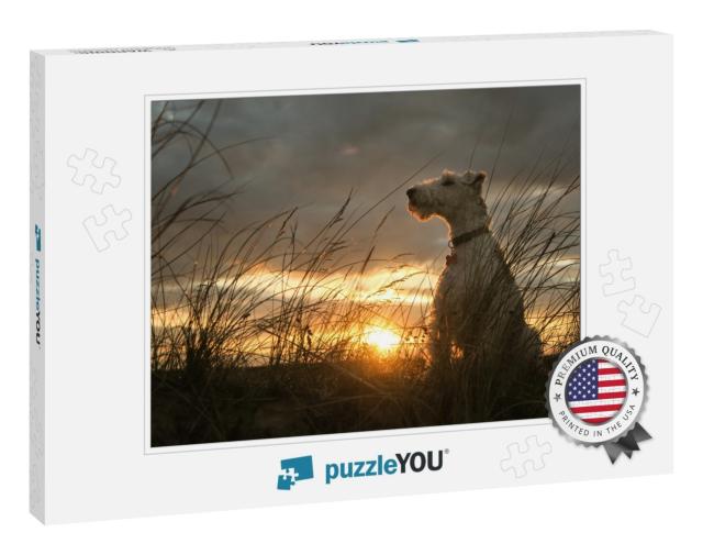 Wire Haired Fox Terrier Sitting with Dramatic Sunset Behi... Jigsaw Puzzle