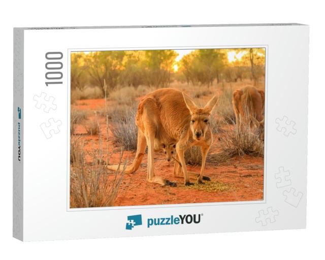 Red Female Kangaroo with a Joey in a Pocket, Macropus Ruf... Jigsaw Puzzle with 1000 pieces