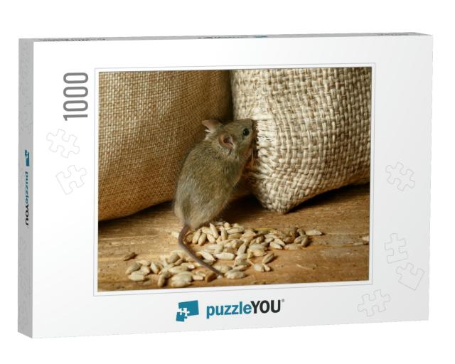 Closeup the Vole Mouse Nibbles the Sack of Grain in the S... Jigsaw Puzzle with 1000 pieces