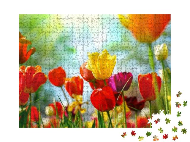 Beautiful Spring Flowers... Jigsaw Puzzle with 1000 pieces