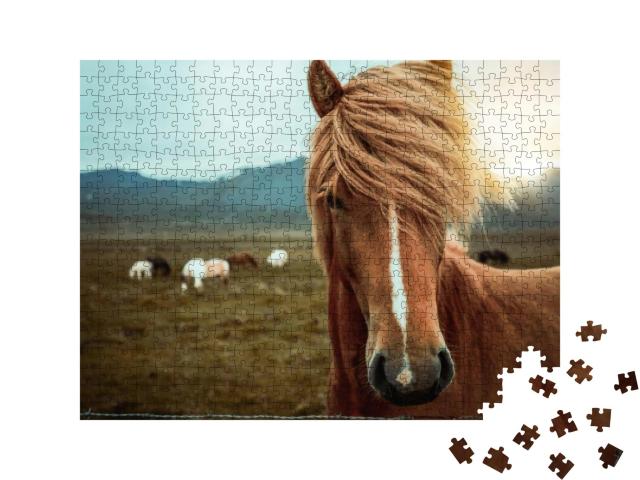 Icelandic Horse in the Field of Scenic Nature Landscape o... Jigsaw Puzzle with 500 pieces