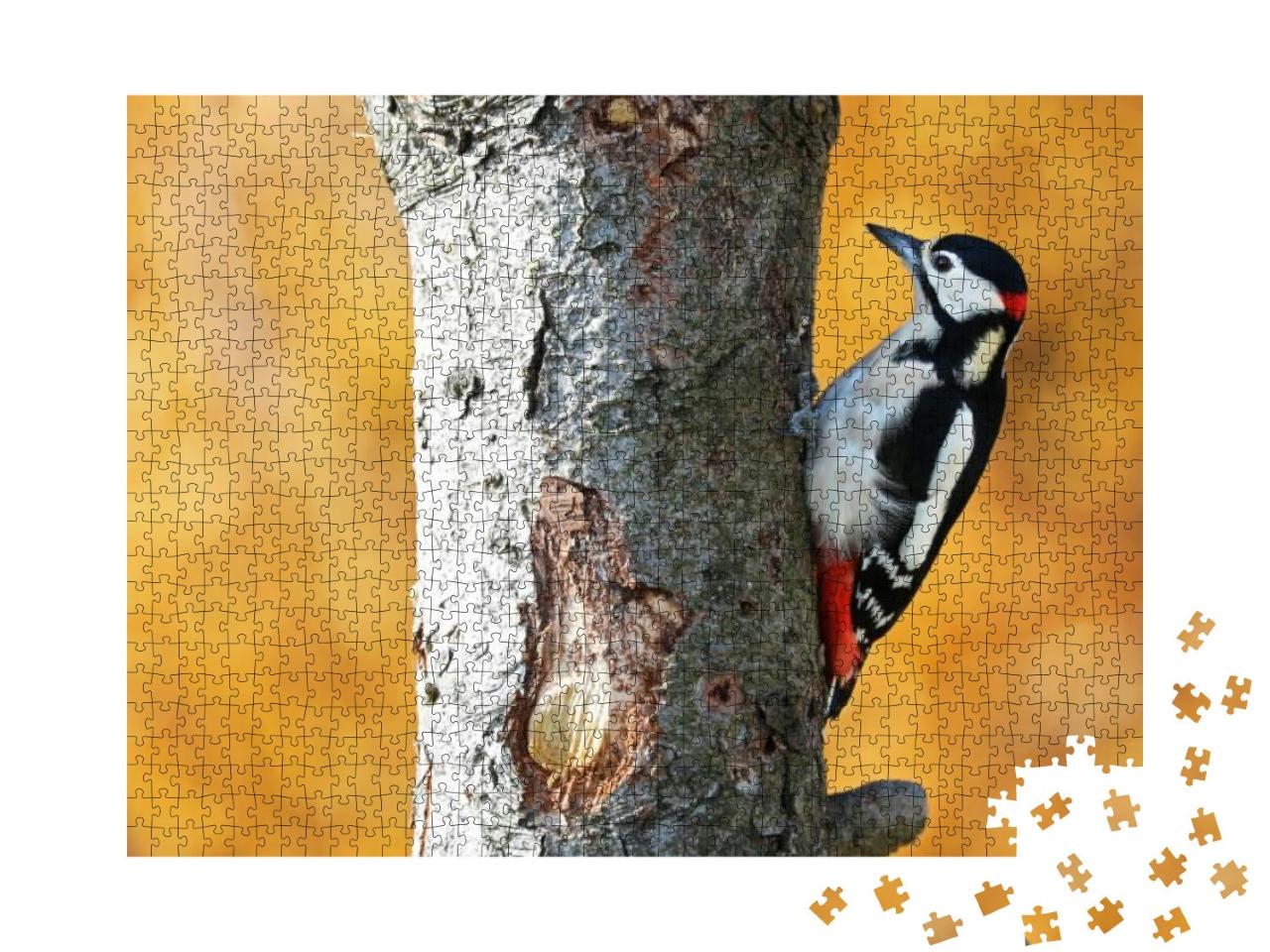 Great Spotted Woodpecker with Yellow Background... Jigsaw Puzzle with 1000 pieces