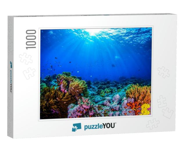 Ocean Coral Reef Underwater. Sea World Under Water Backgr... Jigsaw Puzzle with 1000 pieces