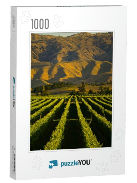 Row of Beautiful Grape Yard Before Sunset with Mountain i... Jigsaw Puzzle with 1000 pieces