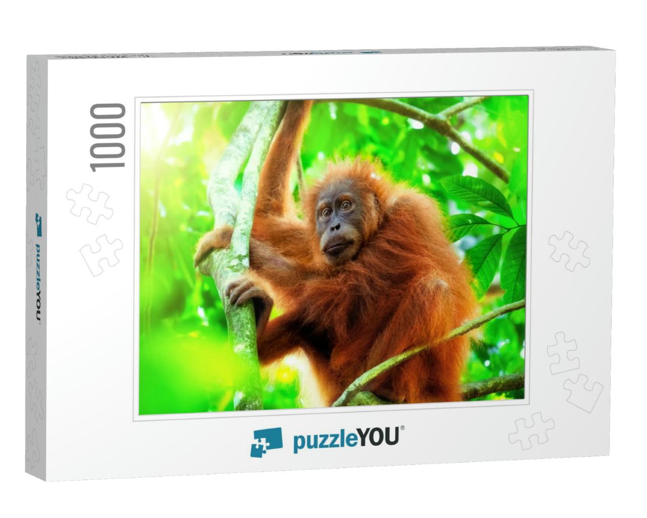 Cute Baby Orangutan Hanging on Branch & Looking Around Ag... Jigsaw Puzzle with 1000 pieces