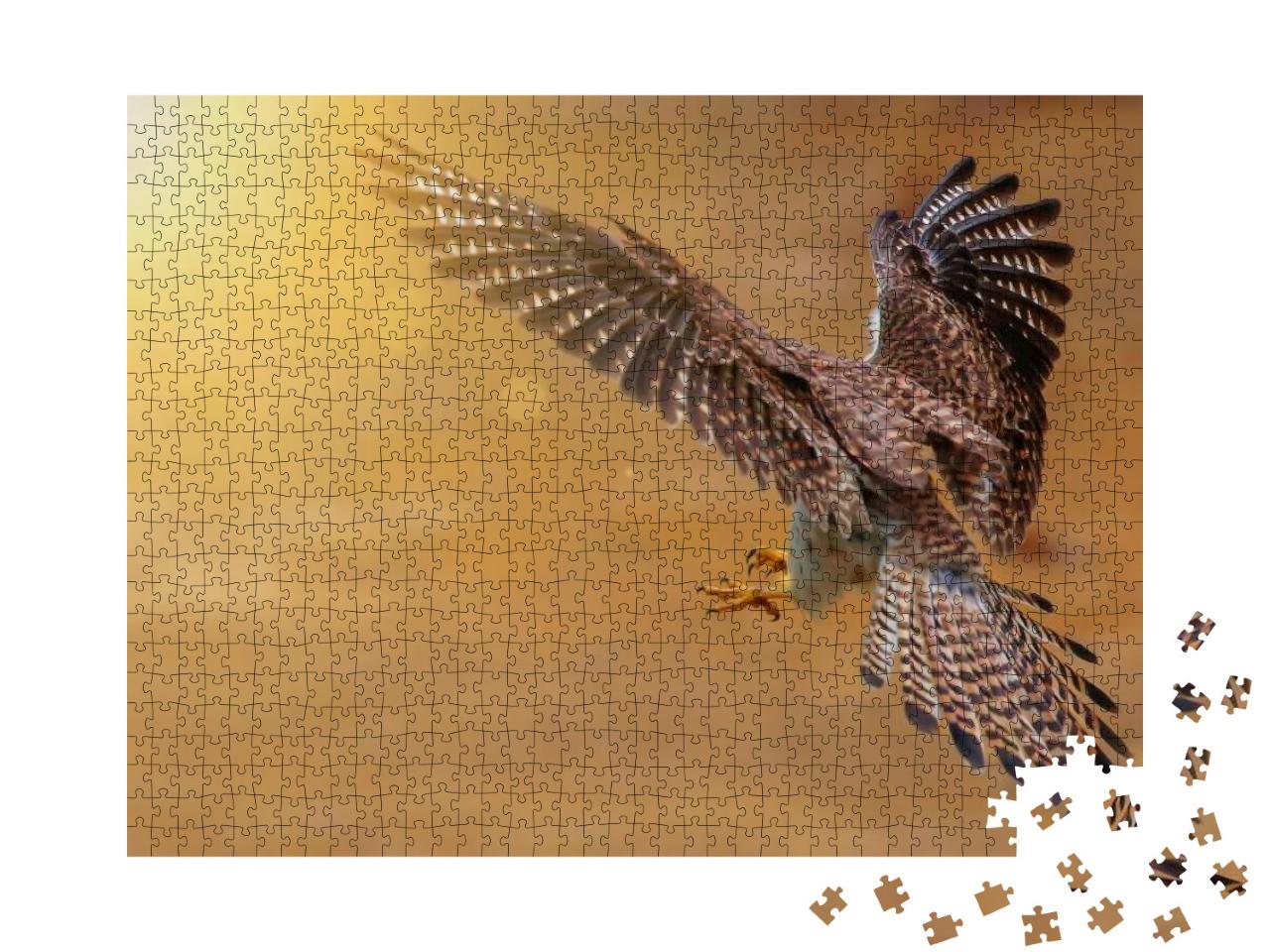 Bird Hunter Common Kestrel European Kestrel Eurasian Kest... Jigsaw Puzzle with 1000 pieces