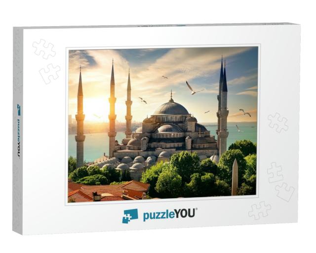 Seagulls Over Blue Mosque & Bosphorus in Istanbul, Turkey... Jigsaw Puzzle