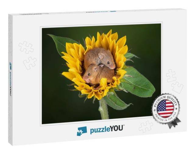 Harvest Mice Cuteness Mouse Sweet Flower... Jigsaw Puzzle