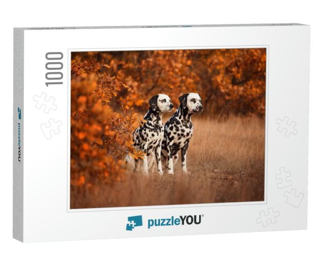 Two Dalmatian Dogs on a Walk... Jigsaw Puzzle with 1000 pieces